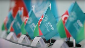 Azərbaycan COP29-a layiqli şəkildə ev sahibliyi edəcək